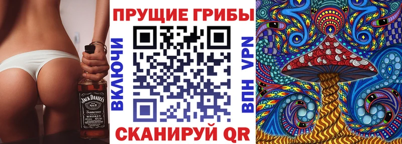 Галлюциногенные грибы Psilocybine cubensis цена Кирсанов